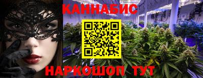 крисы Новоалтайск