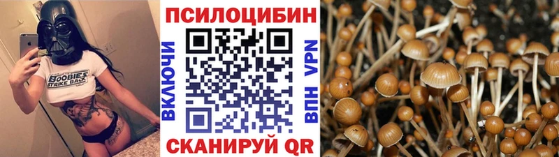 Псилоцибиновые грибы ЛСД  Абакан 