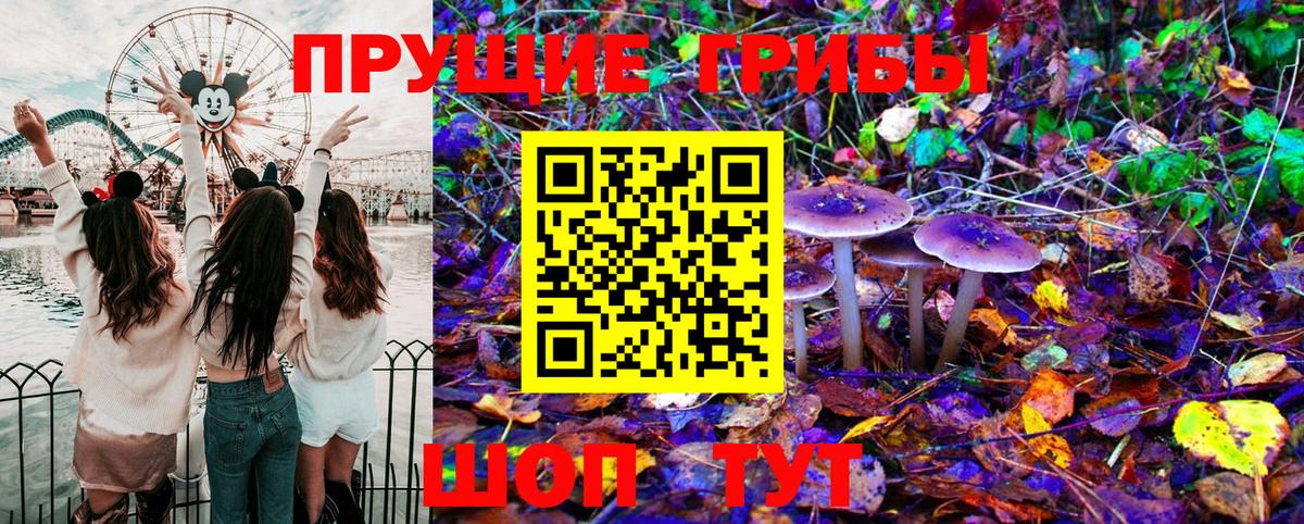 Псилоцибиновые грибы GOLDEN TEACHER  Вход с VPN  Абакан 