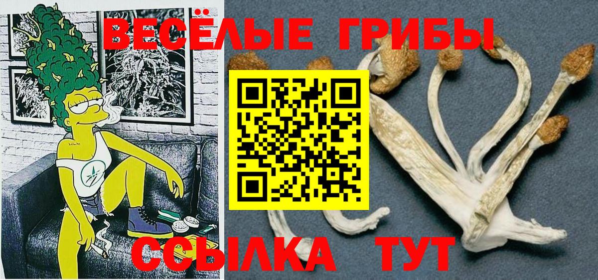 Галлюциногенные грибы Magic Shrooms Абакан