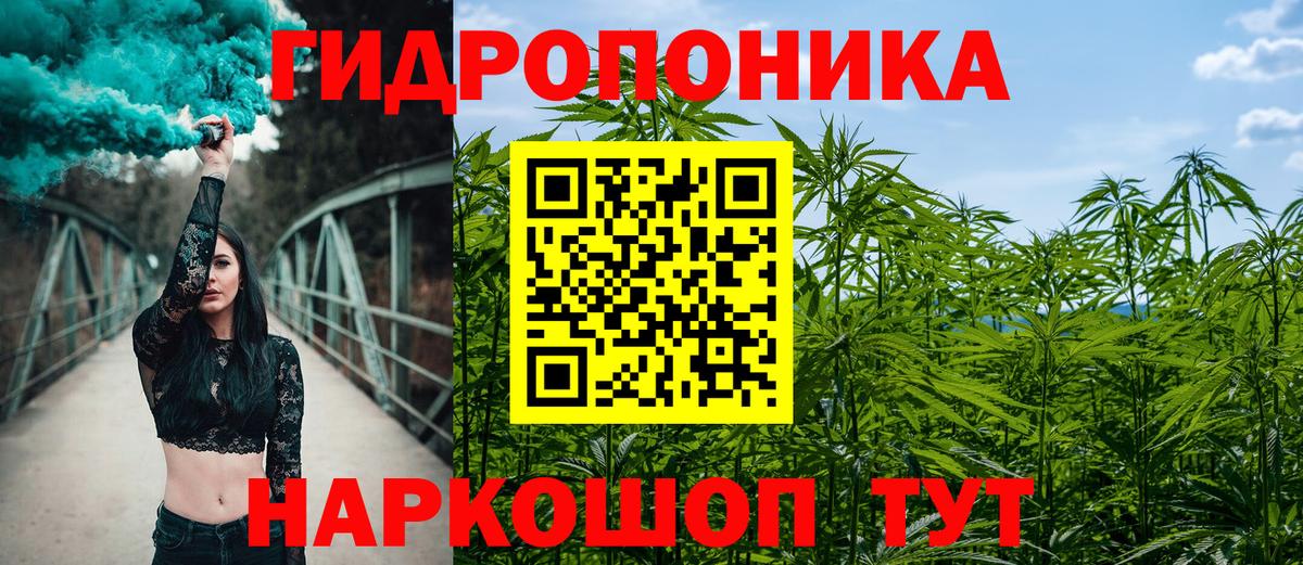 Абакан  Бошки Шишки гибрид  Вход с VPN  Шишки марихуана индика 